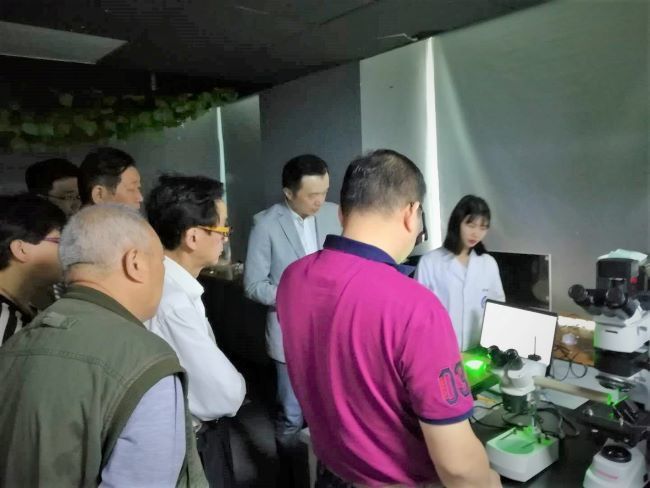 天球|让文物说话:藏于夹墙“幸免”的清中期青花龙纹天球瓶