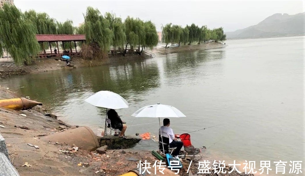 定海神针|钓鱼浮漂一直没信号,不是水里没鱼,而是有些细节没做好