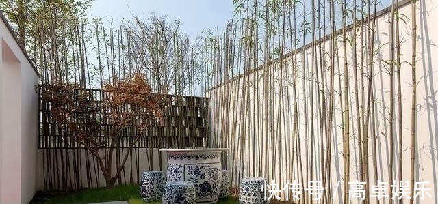 泳池|家里有个院子,就要这样设计,美的就像世外桃源