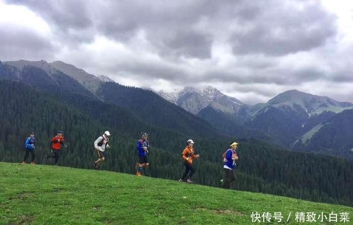 新疆最美的南山风景, 这里的景色让你流连忘返!