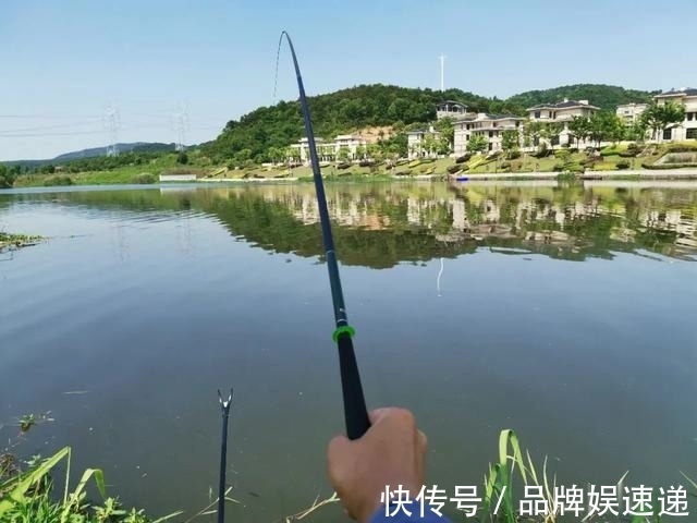 下竿便中鱼,以为刚开始实际已结束,钓鱼中的五大“未解之谜”