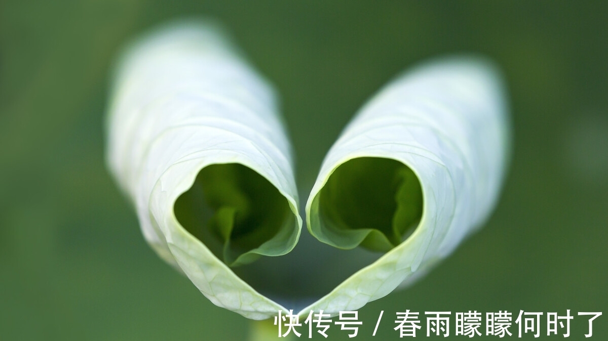 缃帙乱!一窗冷雨,一枕新凉,谁看尽旧时书,谁洒尽今生泪