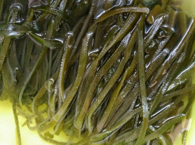 为何饭店的?凉拌菜好吃又入味? 厨师怎么调“万能酱汁”, get一下