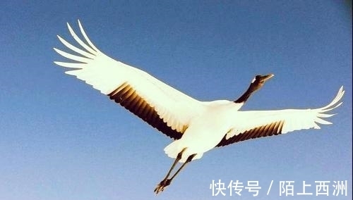 李邕!落选《唐诗三百首》最著名的20首诗,清明、赠汪伦、鸟鸣涧在其中