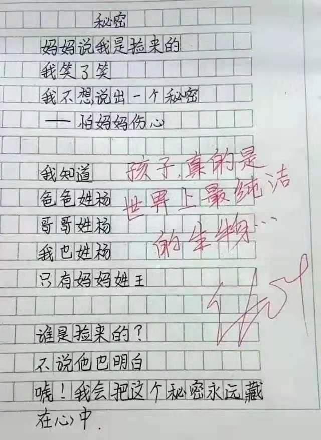 点评|小学生满分作文刷屏，老师点评“神童”感叹自愧不如，网友看哭了