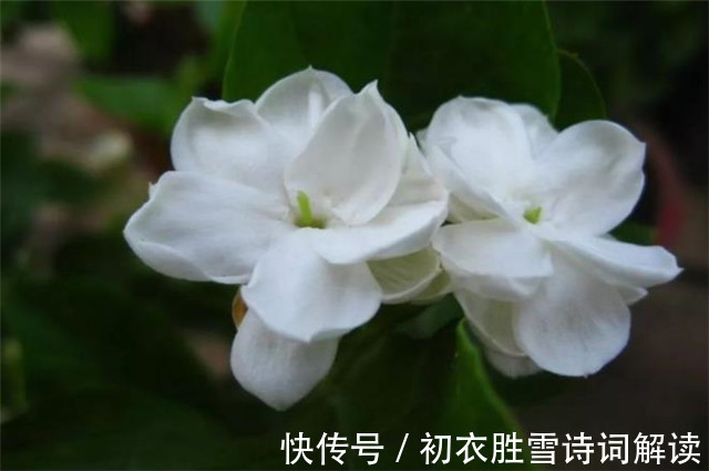 秋来!早秋秋雨美诗五首赏读:江湖经一雨,日月换新秋