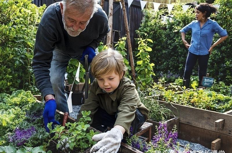 睿智父母|孩子出现3个表现,证明家庭教育好,睿智父母要抓紧看