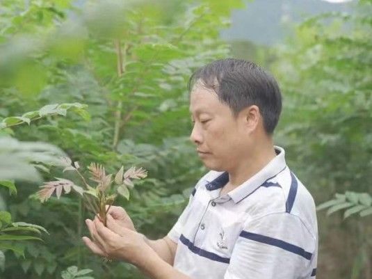 中国林科院亚热带林业研究所|秋天第一口“鲜嫩”来了！浙江姑娘直播带货：9.9元一把卖疯