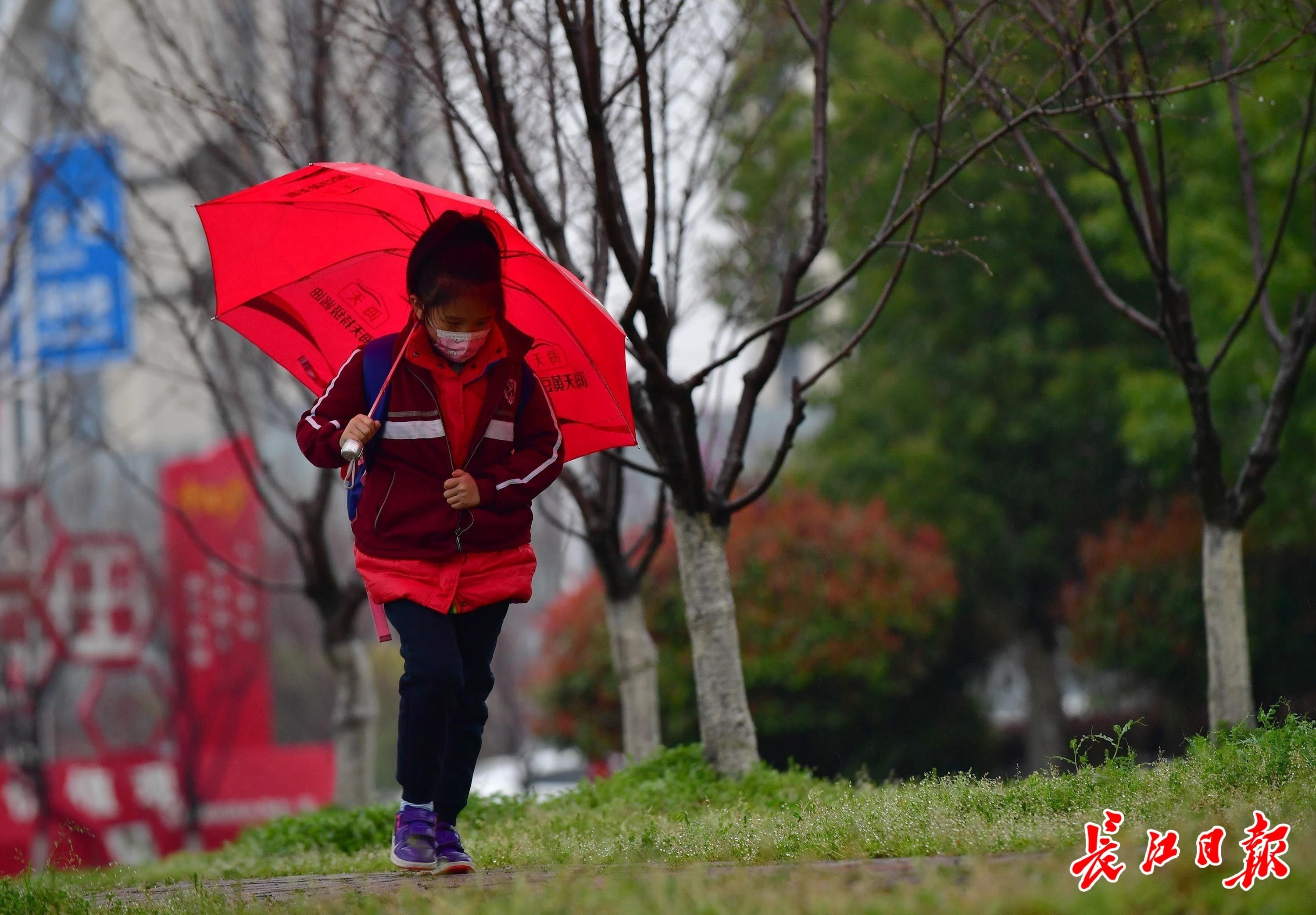 图集|春雨沥沥上学路 | a3776