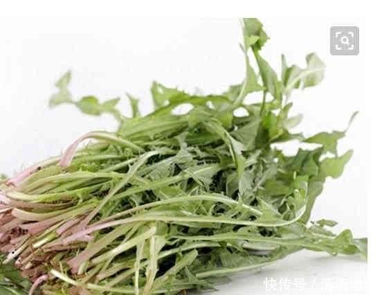 搭配|蒲公英被称为养生高手,这4种搭配,医生都夸养生效果好!