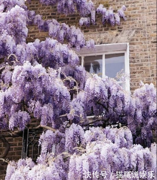 这9种花园,随便1个都美上天了,有一种这辈子就满足了!