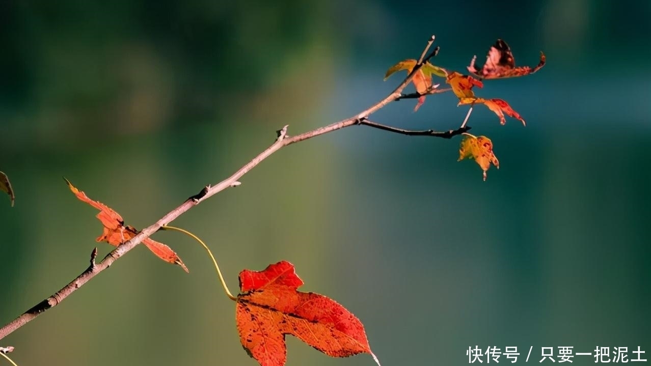 远离“养不熟”的人,距离是对自身的保护!