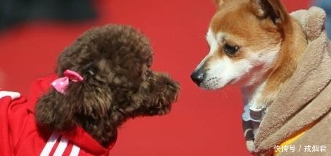 “木匠斧子,厨师的刀,光棍行礼,姑娘的腰”农村四不摸啥意思!