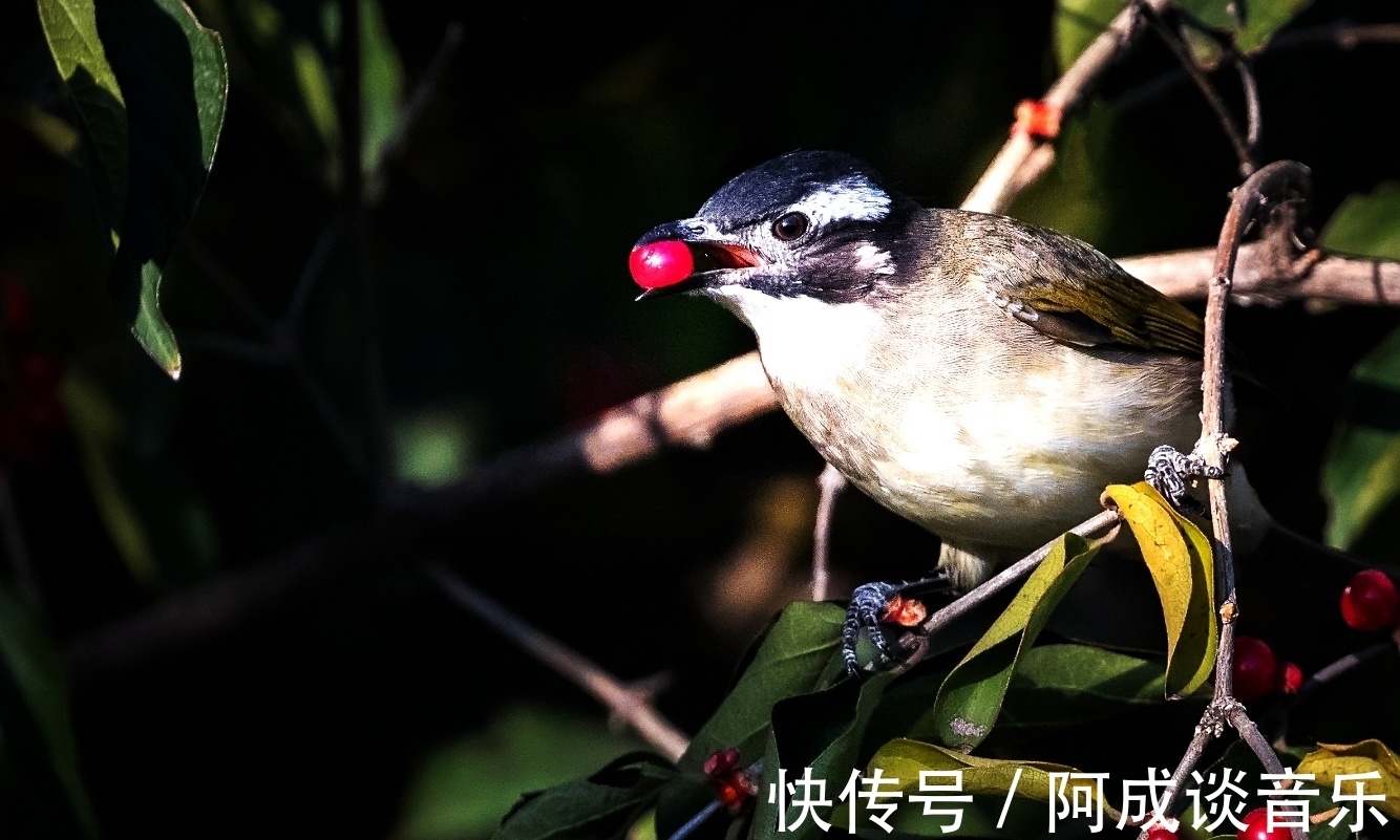 永定河|赏图时刻｜永定碧波争秋艳