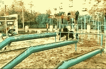 |搞笑GIF:妹子,我就想看看你怎么出来!