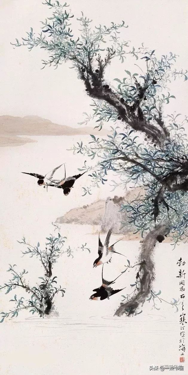 花鸟画@江寒汀 笔下的飞鸟30幅,不愧当代海派花鸟画第一人
