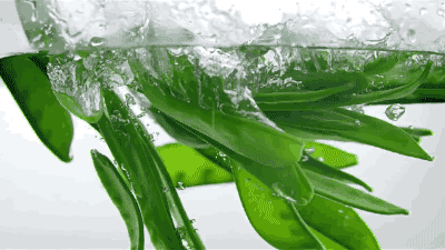 胆固醇|为什么吃素的人也会得“三高”？罪魁祸首竟然是……