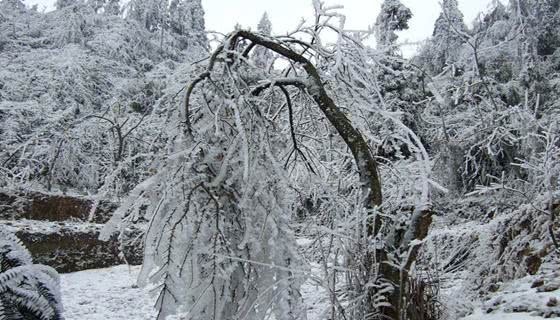 明末|明末小冰期,一系列自然灾害爆发的起点,吹响明亡的号角