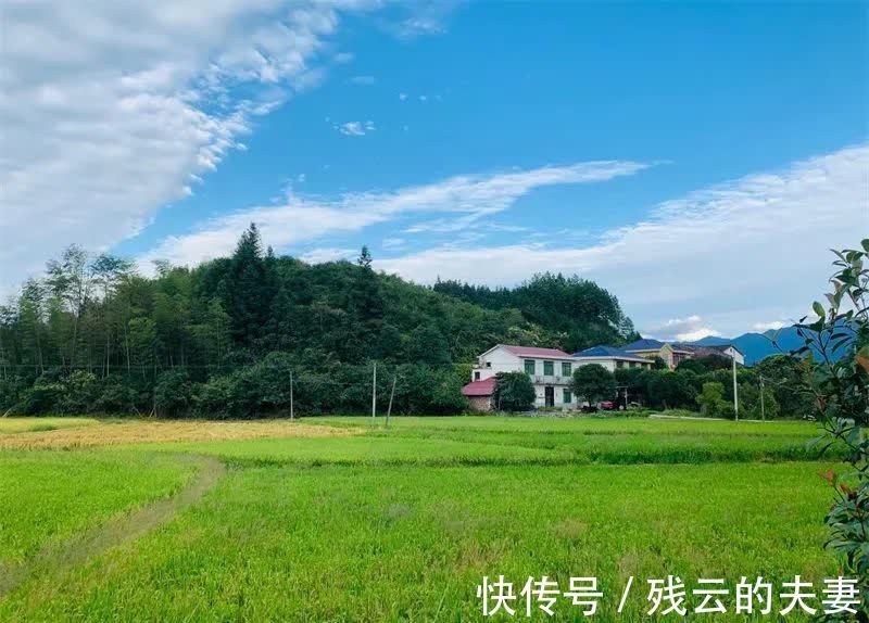 入睡|你晚上有辗转反侧失眠难入睡的经历吗?