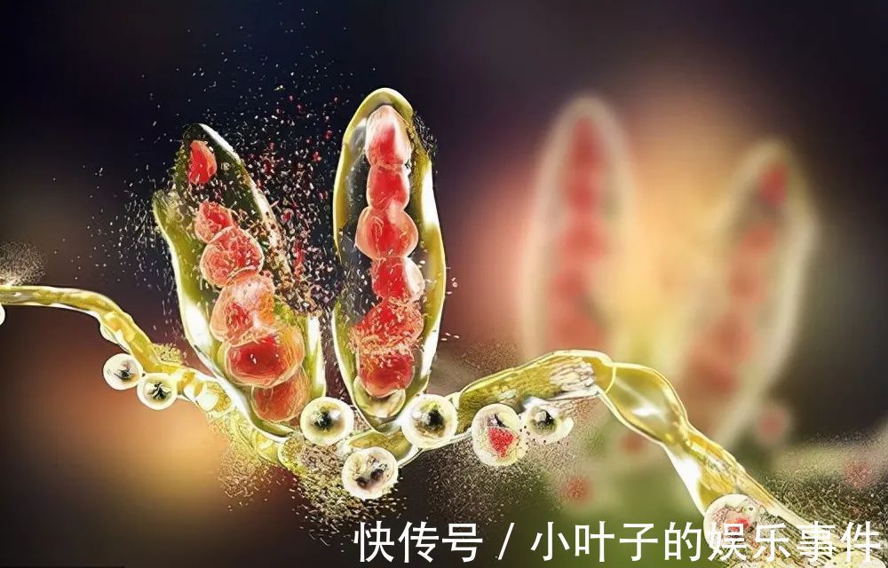 28个冷知识:或许从未有人知晓,但真实存在的有趣事实