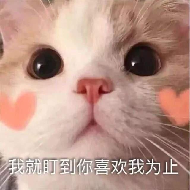 雷霆战将|芒果强捧黄明昊:《快本》镜头超吴昕,再上《名侦》刷脸洗白