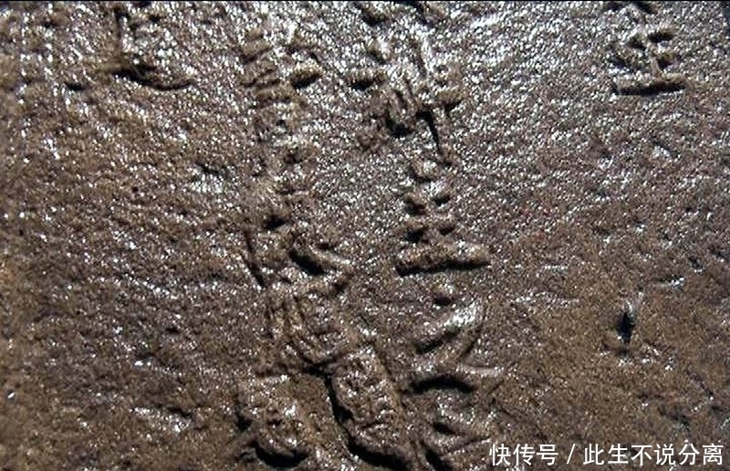 宝贝|村民拆猪圈发现明代文物 这个宝贝是个啥?