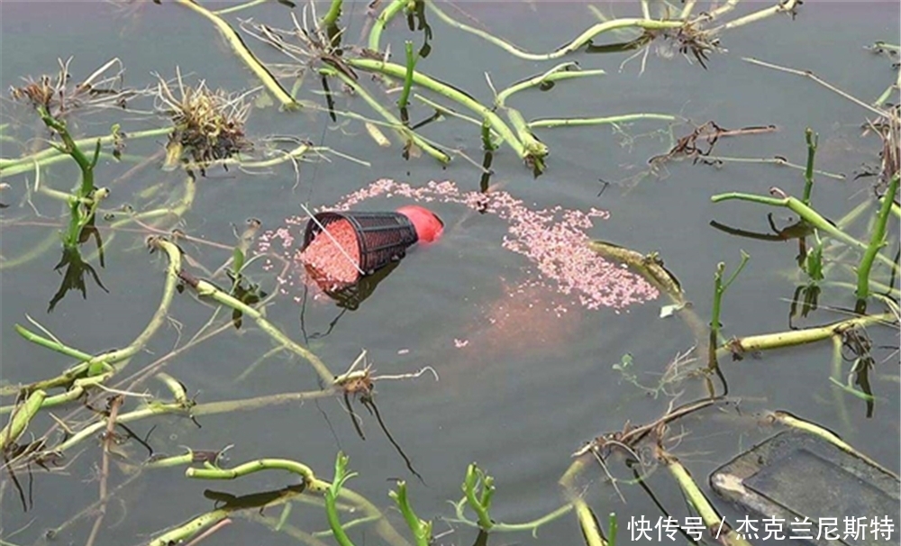 早春钓大鲫鱼的4要原则,早春不是鱼不好钓,是你不会钓!