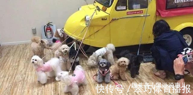 互联网时代|这5类商品尽量去实体店买,否则坑的还是自己!