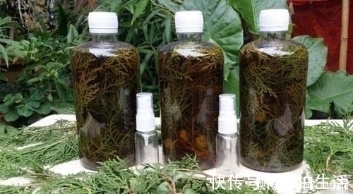 白发|有白头发别急着去染,教你几个食疗方,白头发轻松黑回来