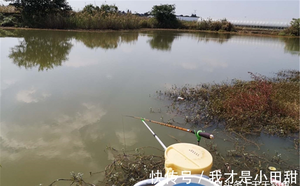 冬钓万金油:一要看天气,二要看钓位,三要看钓法,四要看饵料!