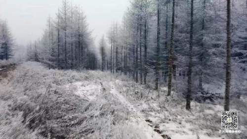 宝山|看雪啦！开州雪宝山化身雪域仙境