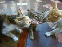 |搞笑动图:不好好走路,哥们你抽筋了么?