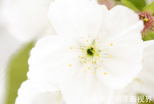 农历|孩子的人生和出生月份有关,以下3个月份出生智商高,福气更好!