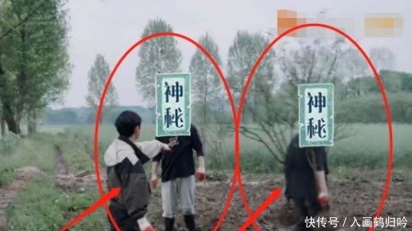 未播先火|《向往的生活》未播先火,杨紫未离开又迎来他,粉丝:熬夜也得追