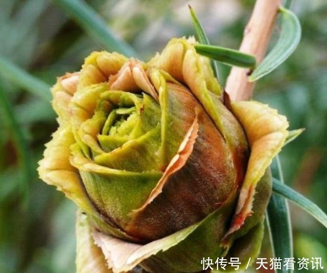 经典语录|激励人心的经典语录,句句有内涵,读读受益匪浅