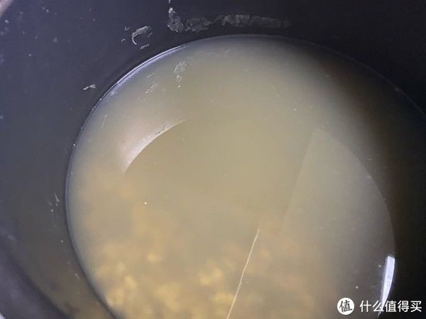 马齿笕|夏天的宝,农民的草马齿苋