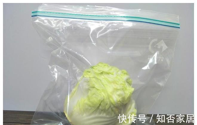 存放|白菜保存有诀窍，简单多加一步，能放20天，和刚买的一样新鲜