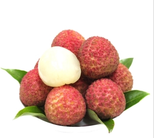 白玛瑙$宝玉给探春送东西的玛瑙碟子,袭人为什么坚持要回来?她有大用途