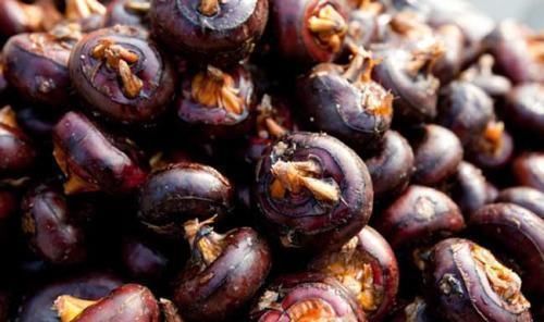 女性养生，3种食物换着吃，补水润肤，排毒抗衰，清理体内毒素