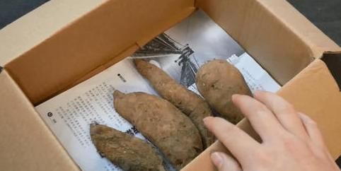 植物纤维|红薯你家里还在吃么,后悔现在才知道,快告诉家人,别不当回事