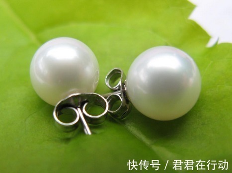 珠母贝 珍珠作为有机宝石,那么你知道该如何分辨海水珍珠和淡水珍珠吗!