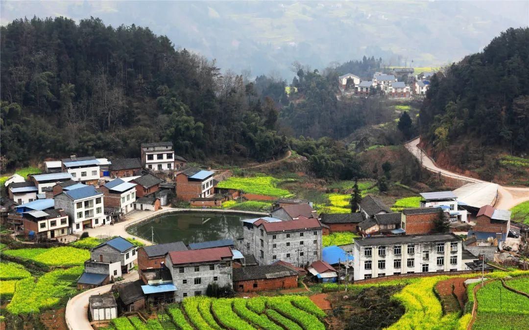 中年|草长莺飞二月天里，赴一场春日的花宴