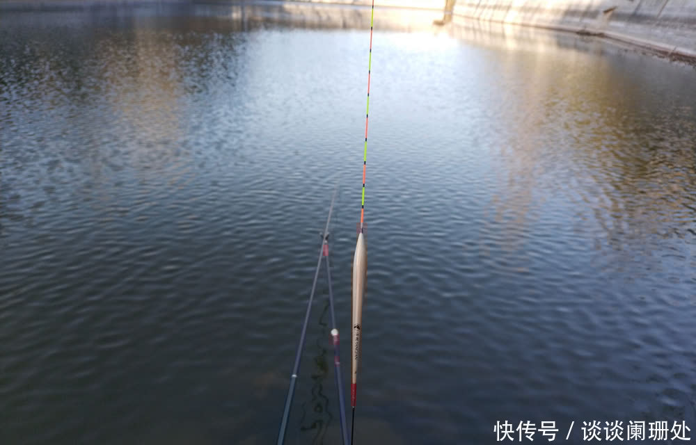 长尾|浮漂长尾、粗尾、软尾,这些漂尾“奇特”的浮漂,调漂用不同方法