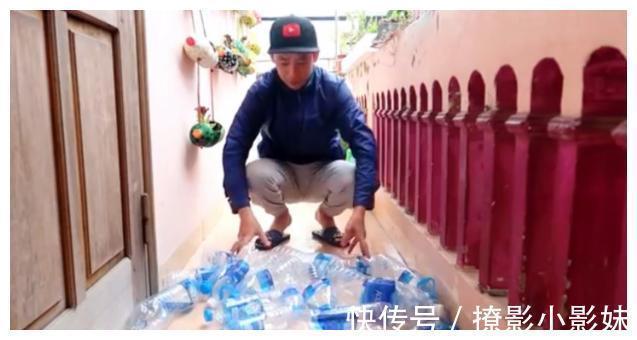 花草|别人不要的饮料瓶，被他改成五颜六色花盆，过程引近450万人围观