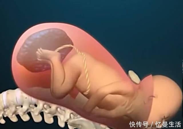 顺产到底有多“疼”看到第3张图,也许你会明白