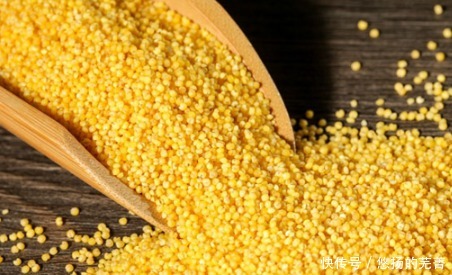 煮小米粥,记得加入“2物”,米粥香浓出油快,美味滋补又养胃