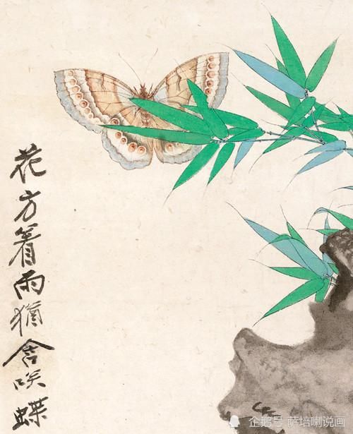  赏画|赏画识人，张大千绘《彩蝶牡丹》