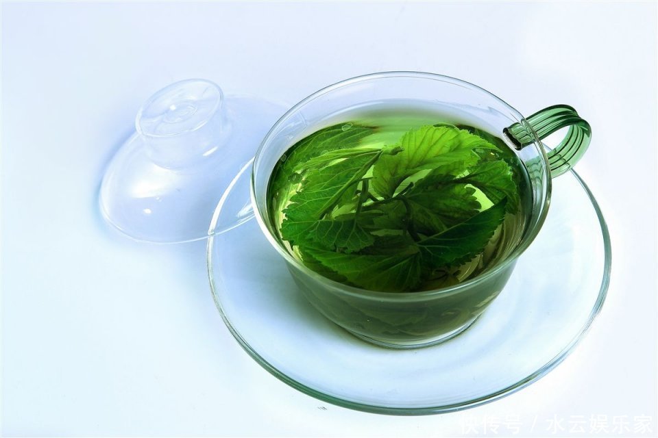 桑叶能用好,一定是个宝,一片桑叶,8种病症都能治!
