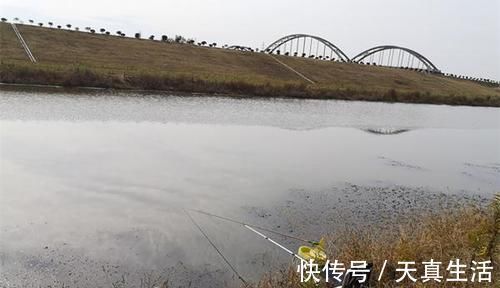 冬季钓鱼,天冷不是钓不到鱼的主因,也可能是这些原因导致的!