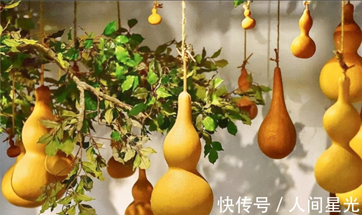 &“想要家中富，屋里放四物”，究竟是哪四物？你是否了解？